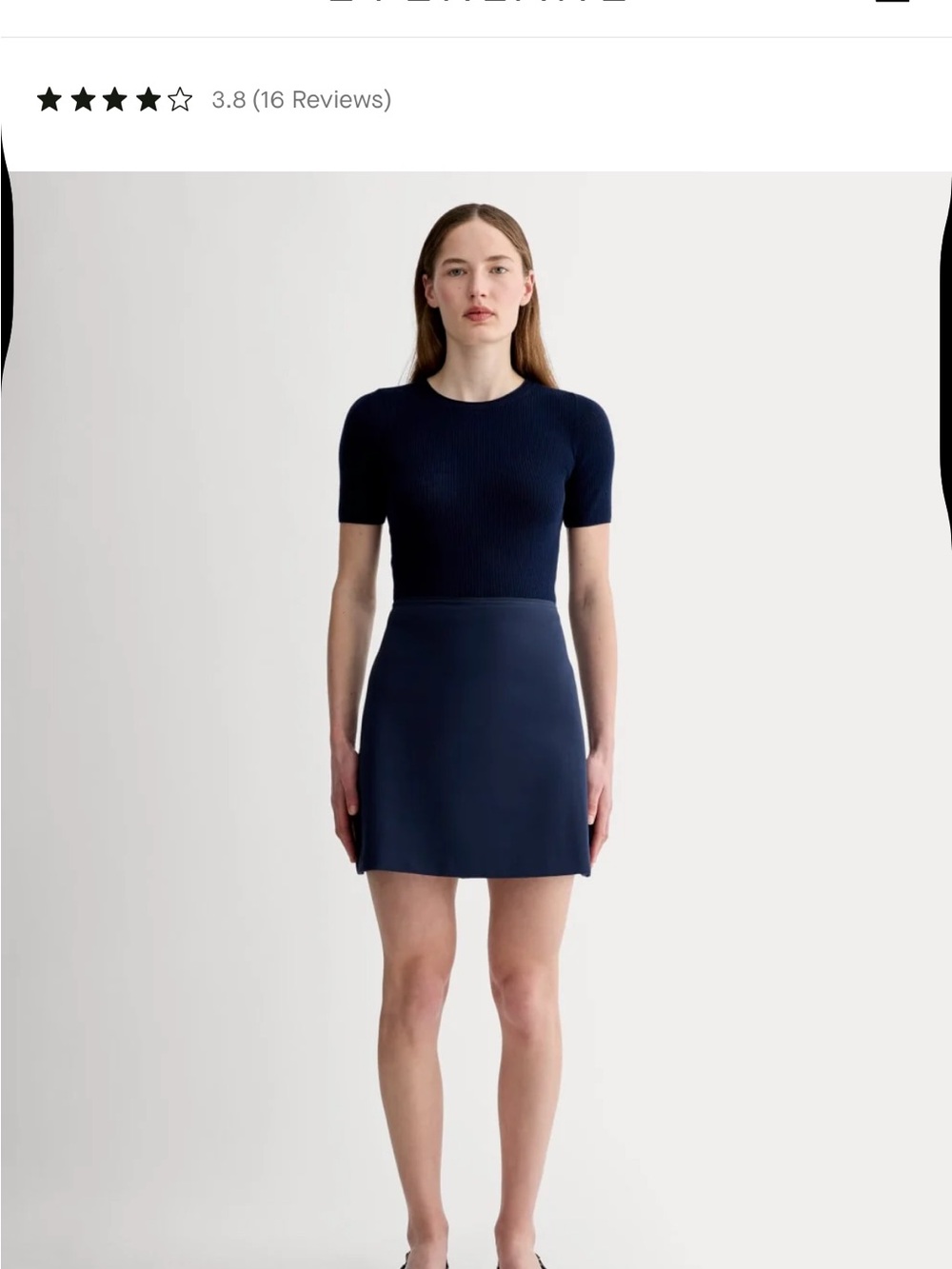 Everlane Navy A-Line Mini Skirt